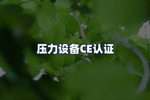 压力设备CE认证